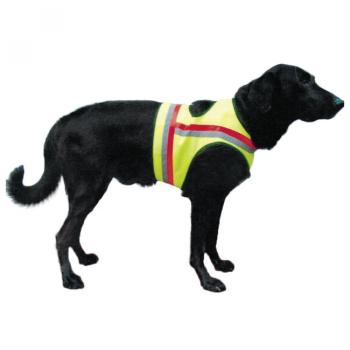 Reflective Dog Vest in Orange and Yellow