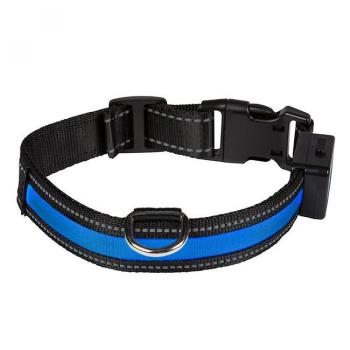 Dog Signal Collar Warning | EYENIMAL USB LIGHT COLLAR