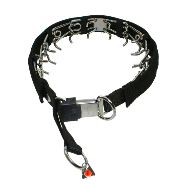 halsband hund personalisiert Hundehalsband mit Namen + Telefon. Stark reflektierend – mypfote.com main image 1