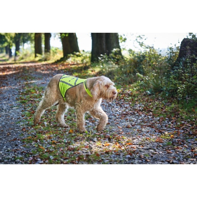HUNTER Hunde-Warnweste, reflektierend, gelb, L, Hals: 48-62 cm, Bauch,  17,07 €