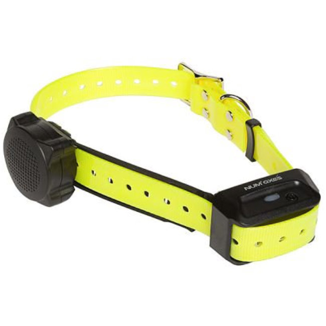 roboter sexpuppen Ferntrainer ElitePet 380R – 1100 m Reichweite · SilkTouch main image 0