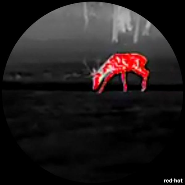 Lahoux Spotter 35 | Model 2021