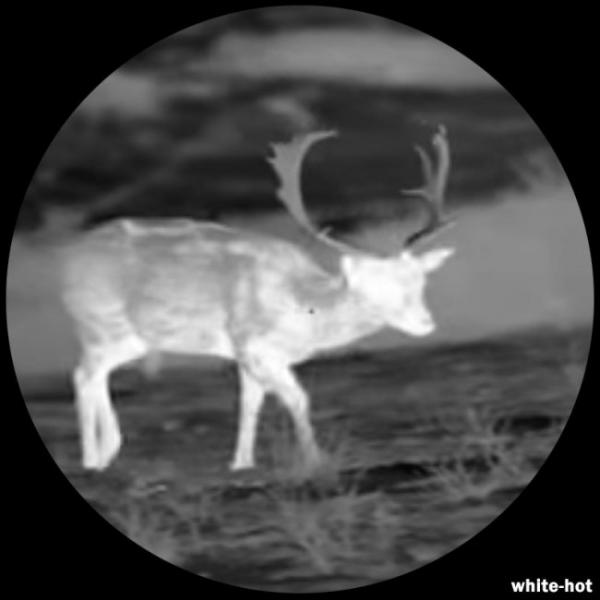Lahoux Spotter Elite 35V